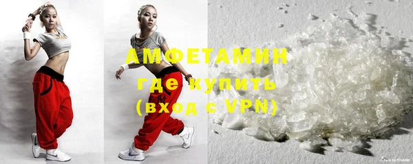 прущие грибы Балахна