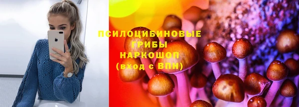 прущие грибы Балахна