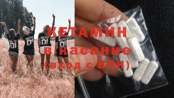 прущие грибы Балахна