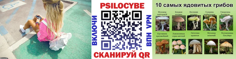как найти наркотики  OMG tor  Галлюциногенные грибы MAGIC MUSHROOMS  Зубцов 
