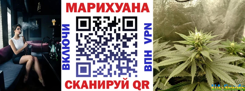 Каннабис SATIVA & INDICA  наркотики  Зубцов 